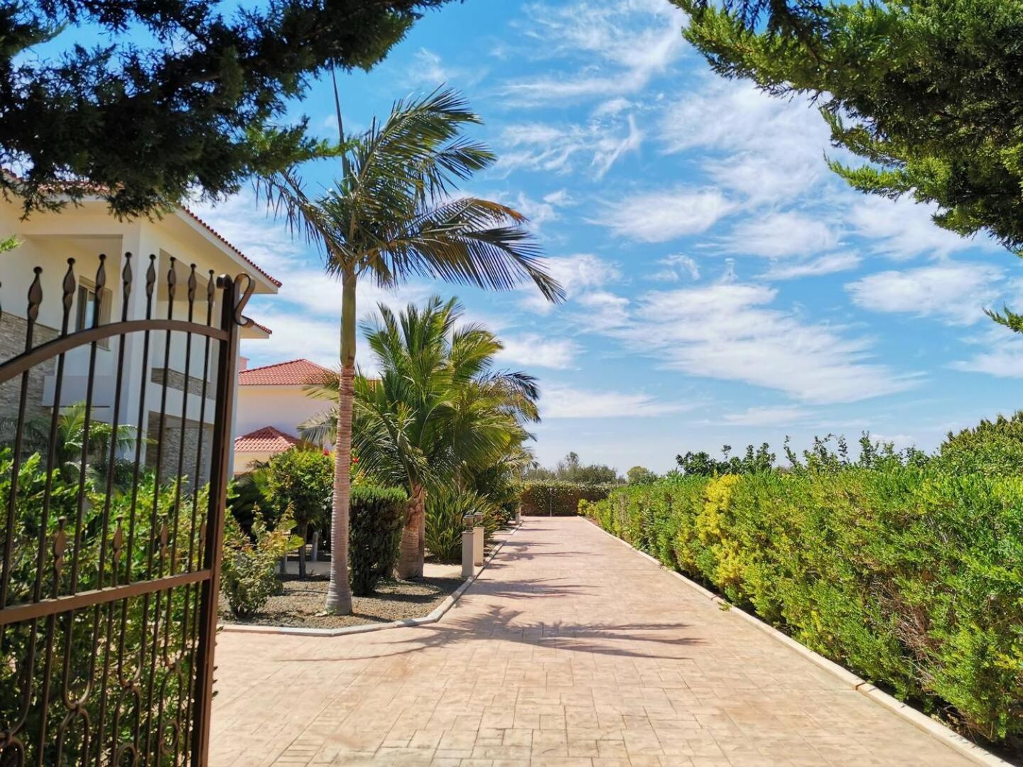 Orchard Blossom Private Villa With Pool Phrenaros Exterior photo